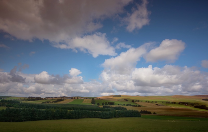 Scotland and the real goat